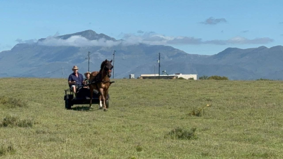 4 Bedroom Property for Sale in Mossel Bay Rural Western Cape